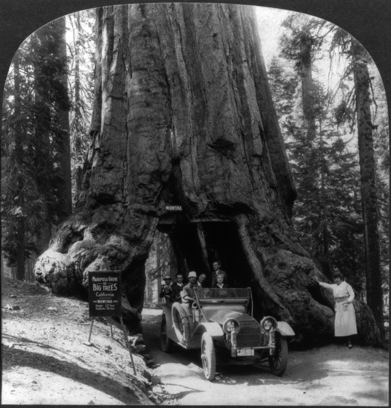 Cartera Sequoia Morral Ctr 
